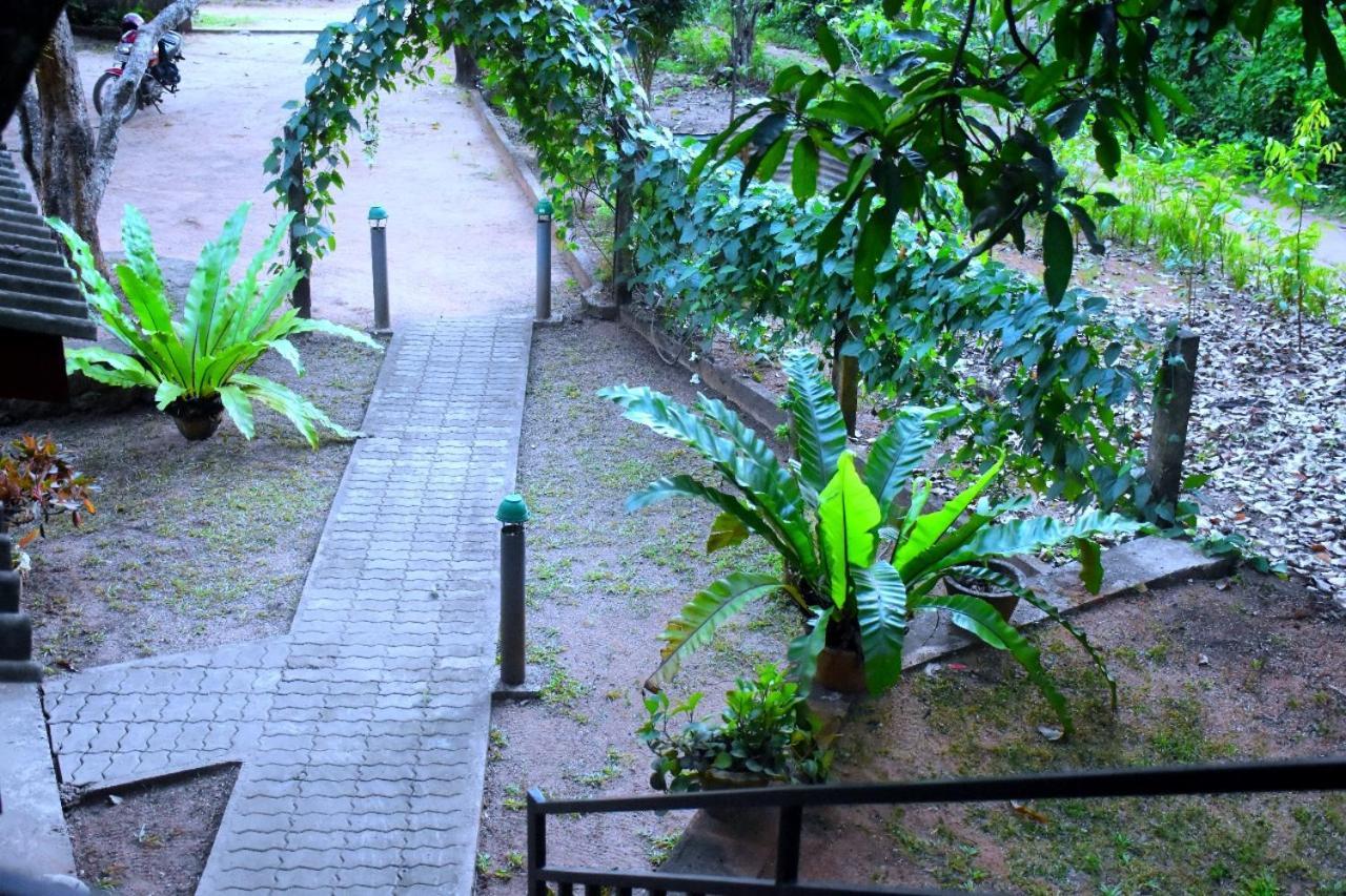 Wild Heaven Udawalawe Ξενοδοχείο Εξωτερικό φωτογραφία