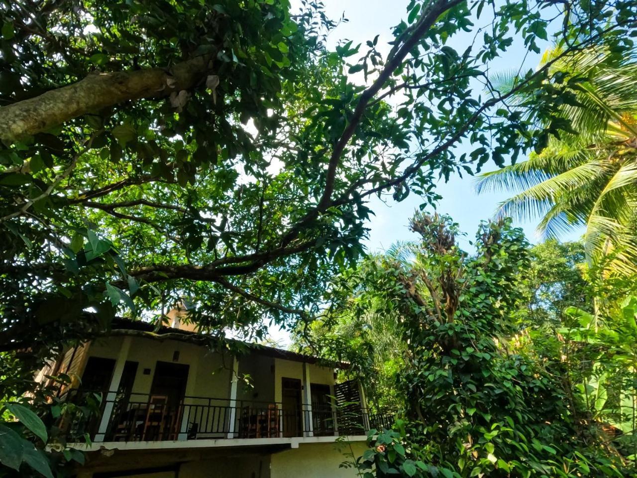 Wild Heaven Udawalawe Ξενοδοχείο Εξωτερικό φωτογραφία