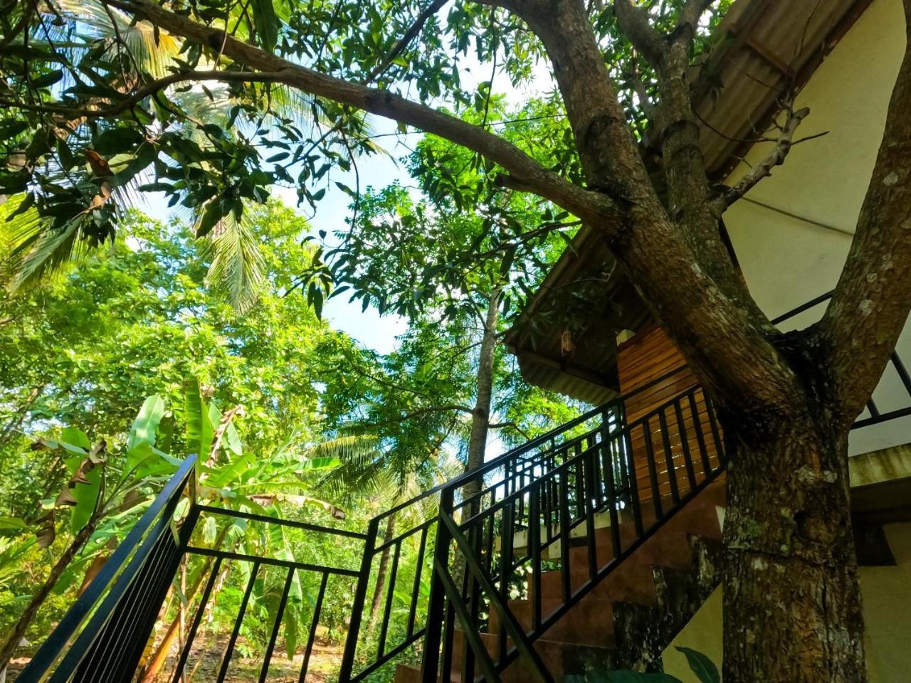 Wild Heaven Udawalawe Ξενοδοχείο Εξωτερικό φωτογραφία
