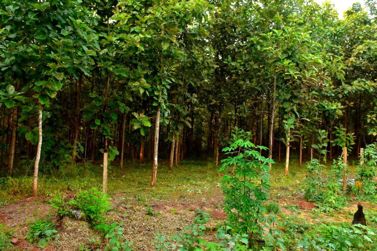 Wild Heaven Udawalawe Ξενοδοχείο Εξωτερικό φωτογραφία